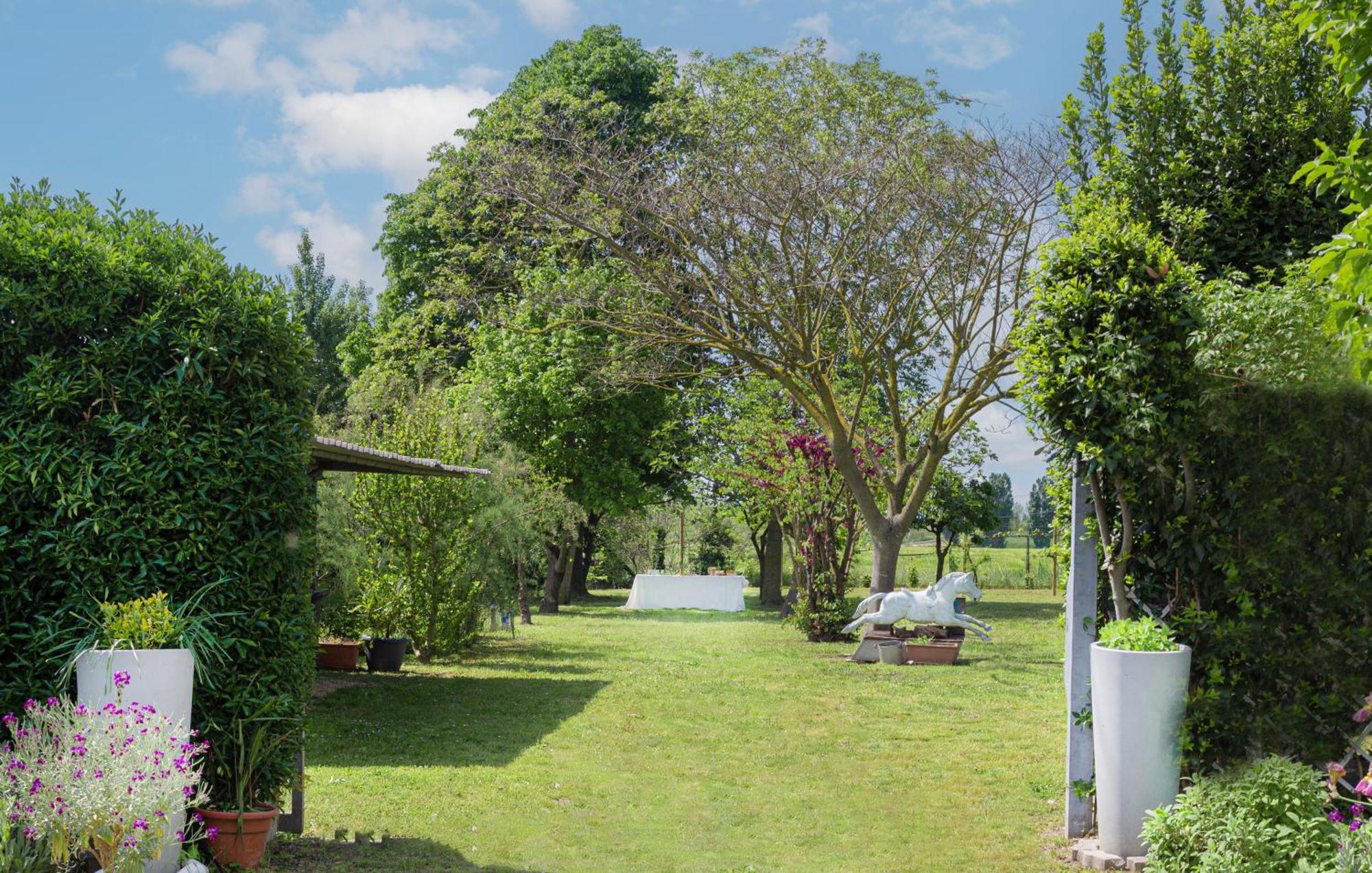 Balabuska Rooms & Garden 코데비고 외부 사진